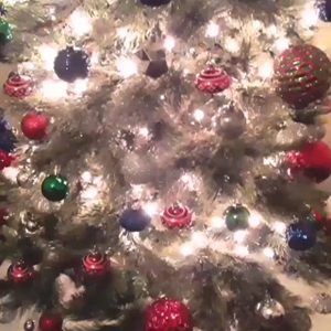 Meet your Posher, Misty